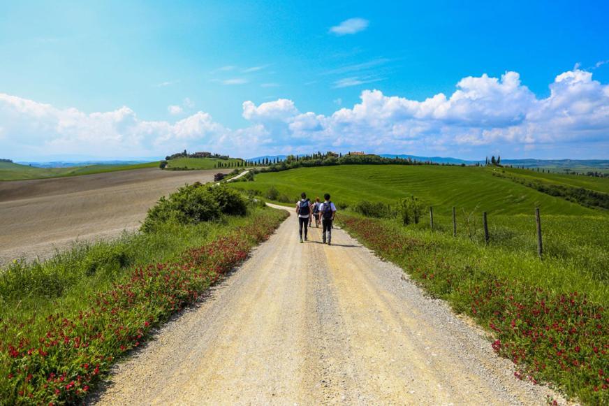 Podere Il Granaio - Crete Senesi - Tuscany 시에나 외부 사진