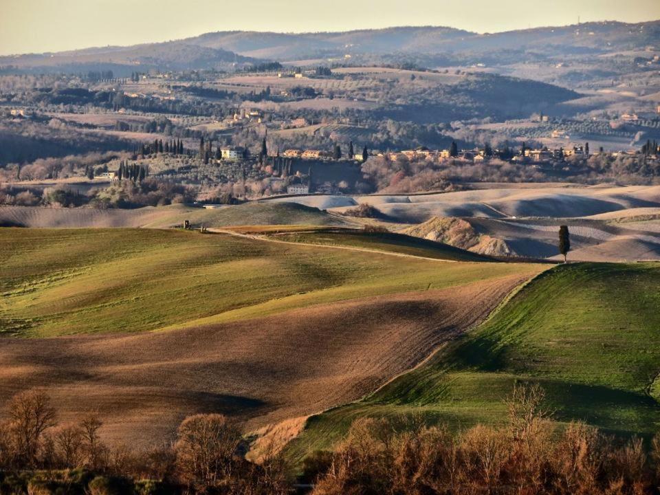 Podere Il Granaio - Crete Senesi - Tuscany 시에나 외부 사진