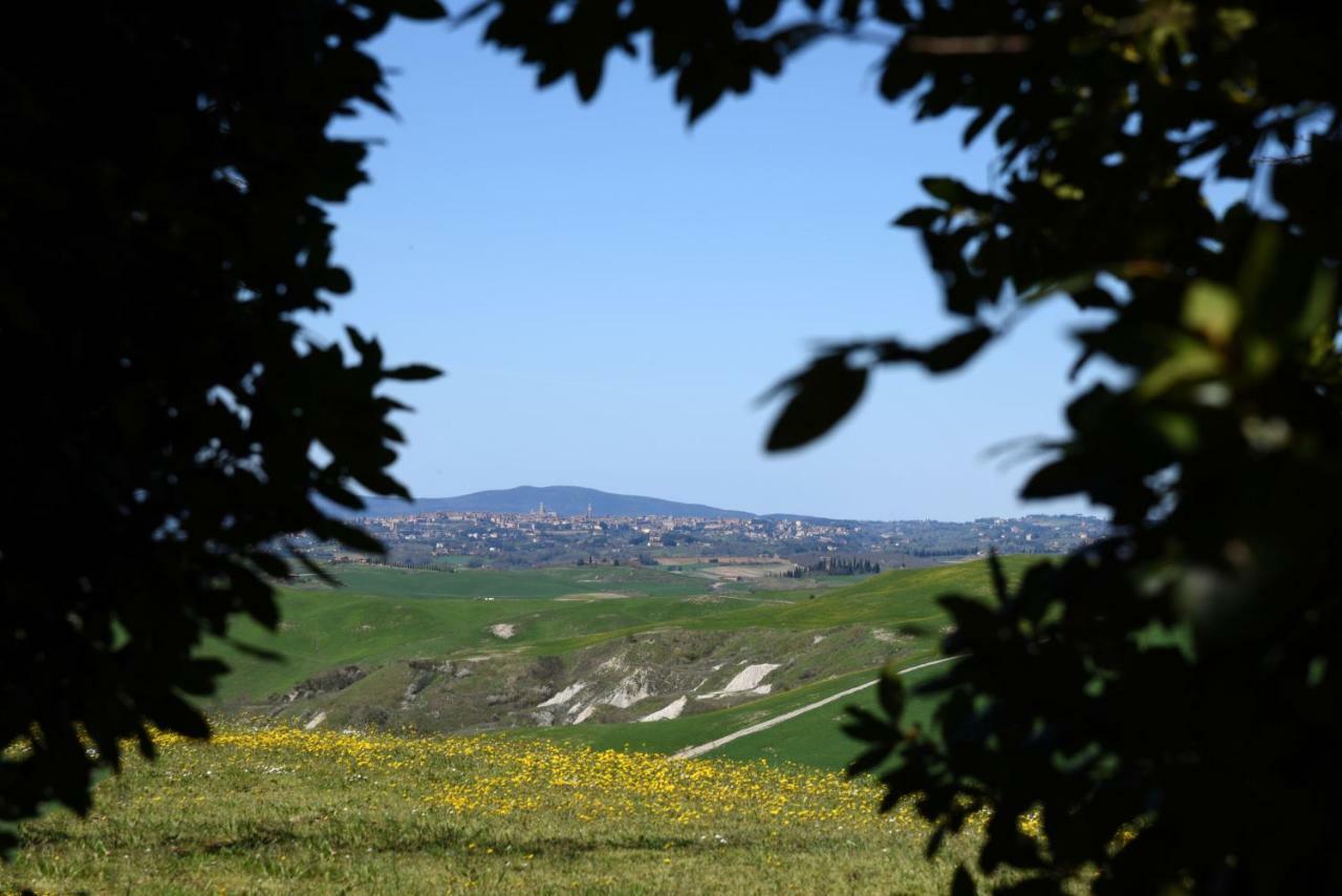 Podere Il Granaio - Crete Senesi - Tuscany 시에나 외부 사진